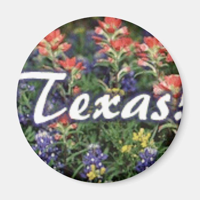 Texas Bluebonnets Paintbrushes Magnet (Front)