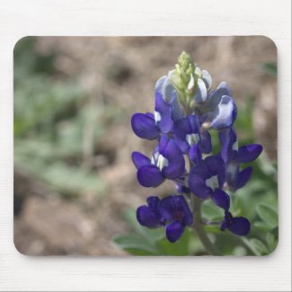 Texas Bluebonnets Photograph Series #9 Mousepads