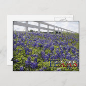 Texas Bluebonnets Postcard | Zazzle