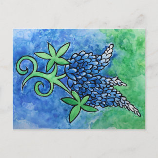 Texas Bluebonnets Postcard