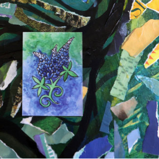 Texas Bluebonnets Postcard