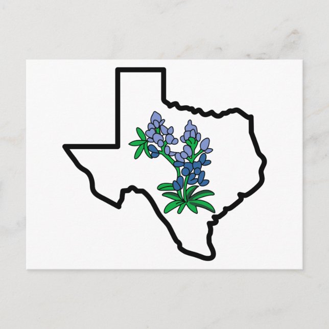 Texas Bluebonnets Postcard (Front)