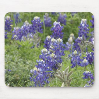 Texas Bluebonnets Series #2 mousepad