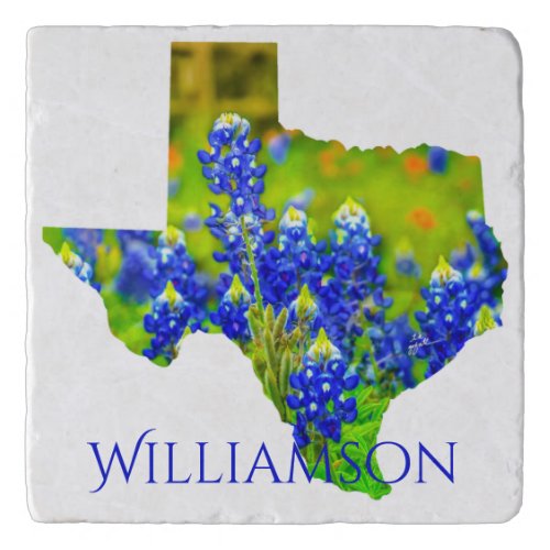 Texas Bluebonnets State of Texas Name Modern Trivet