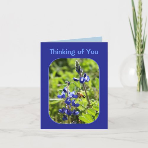 Texas Bluebonnets Thinking of You