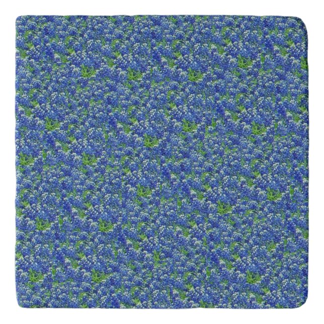 Texas Bluebonnets Trivet (Front)