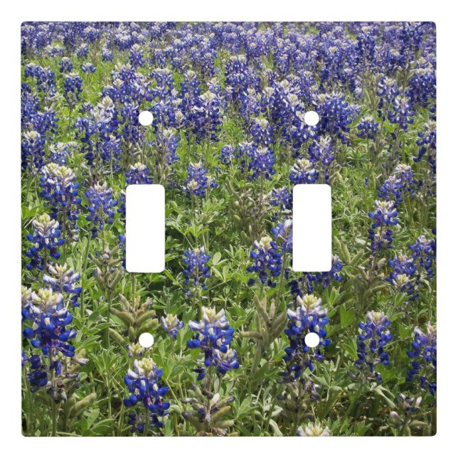 Texas Bluebonnets Wildflowers Light Switch Cover (Front)