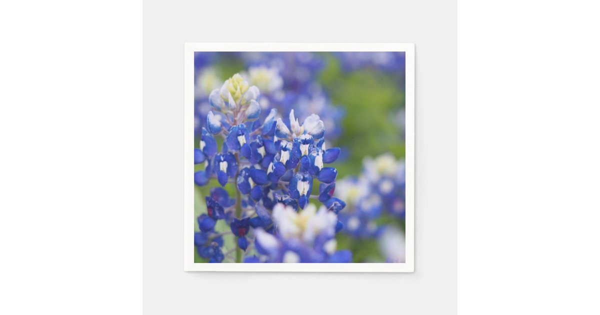 Texas wildflowers Napkins Zazzle