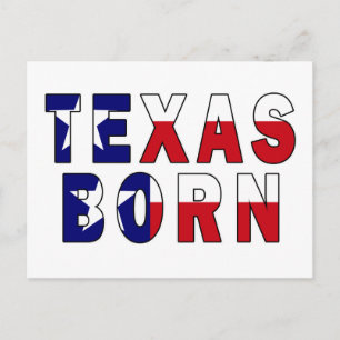 Texas Born Flag Postcard