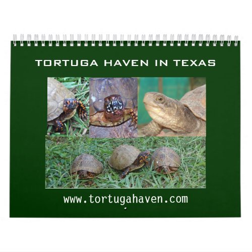 Texas Box Turtle Calendar