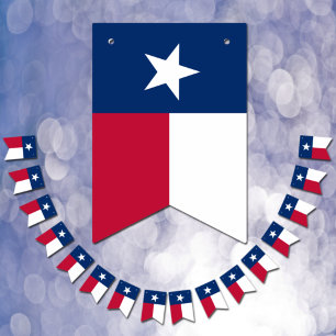 Texas Bunting Flags, Party, Texas Flag Banners