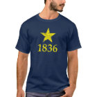 Texas, Burnet Star Historical Flag, 1836