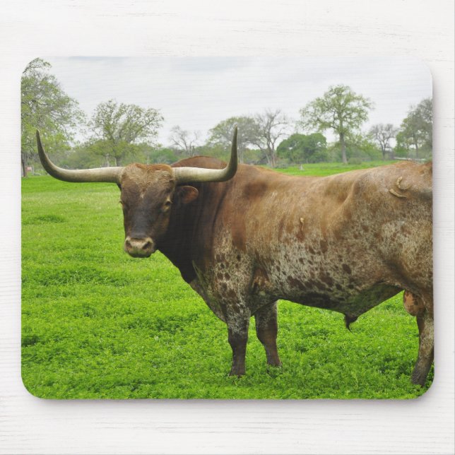 Texas Burnt Orange Longhorn Steer Mouse Pad (Front)