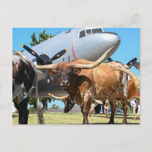 Texas C_47 Skytrain Postcard