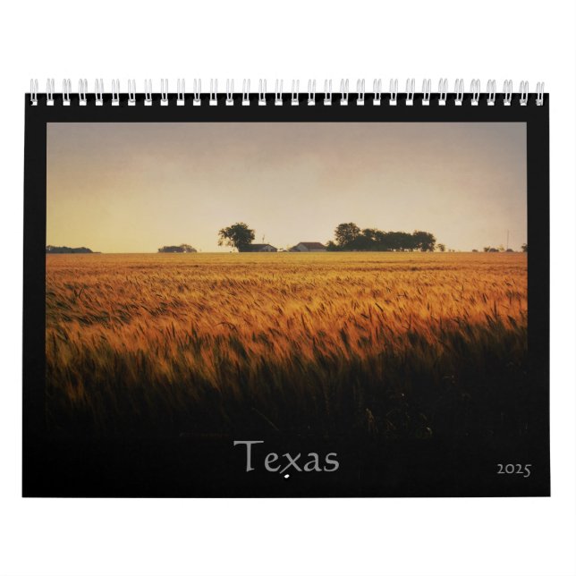Texas Calendar 2025 (Cover)
