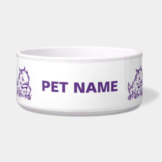 Texas Christian University Frog Bowl