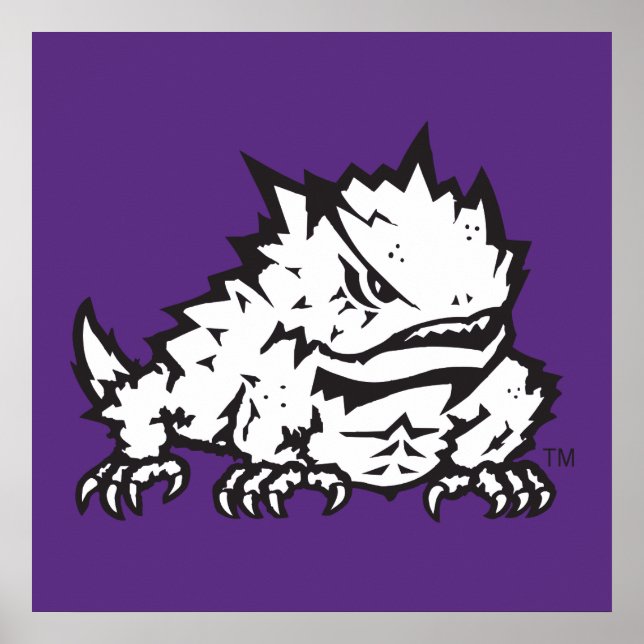 Texas Christian University Frog Poster (Front)