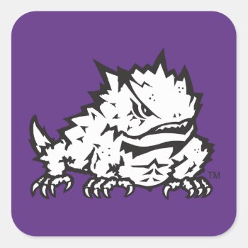 Texas Christian University Frog Square Sticker by tcuhornedfrogs at Zazzle