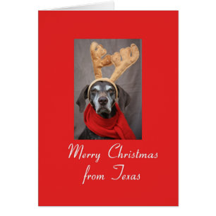Texas Christmas Card, state specific Cards