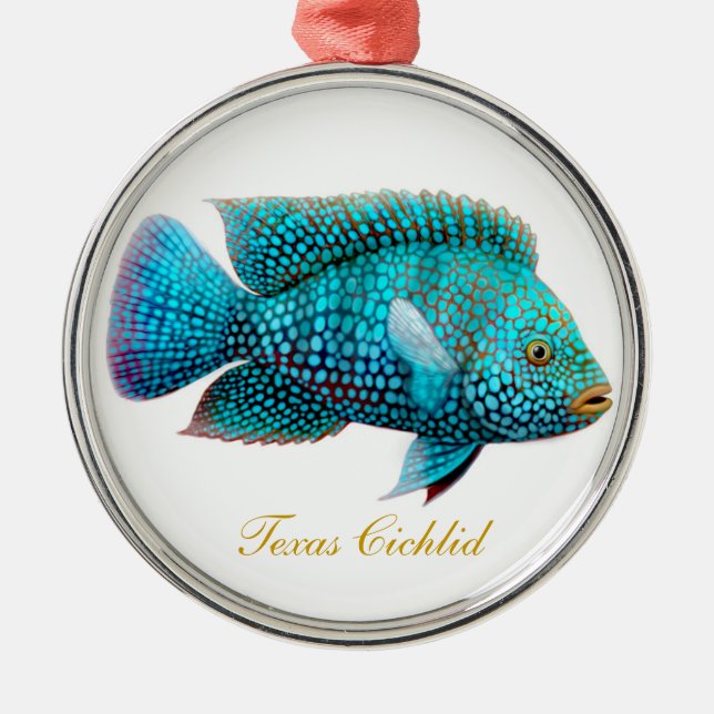 Texas Cichlid Carpintis Aquarium Fish Ornament (Front)