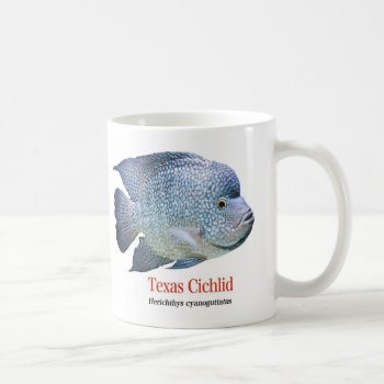 Texas Cichlid Coffee Mug by DOHSHIN at Zazzle