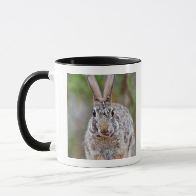 Texas cottontail rabbit mug (Left)
