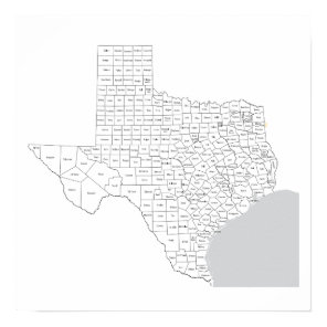 Texas Counties Map with county names Poster