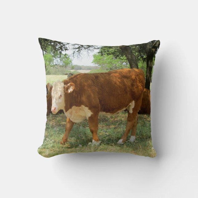 Texas Cow Throw Pillow (Front)