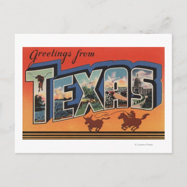 Texas (Cowboy Roping Bull)Large Letter Scenes Postcard (Front)