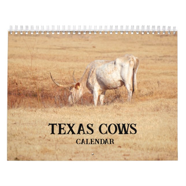 Texas Cows Photographic Calendar (Cover)