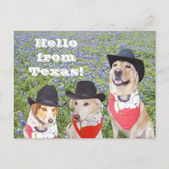 Texas Dogs In Bluebonnets Postcard by myrtieshuman at Zazzle