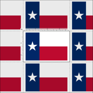 TEXAS FABRIC