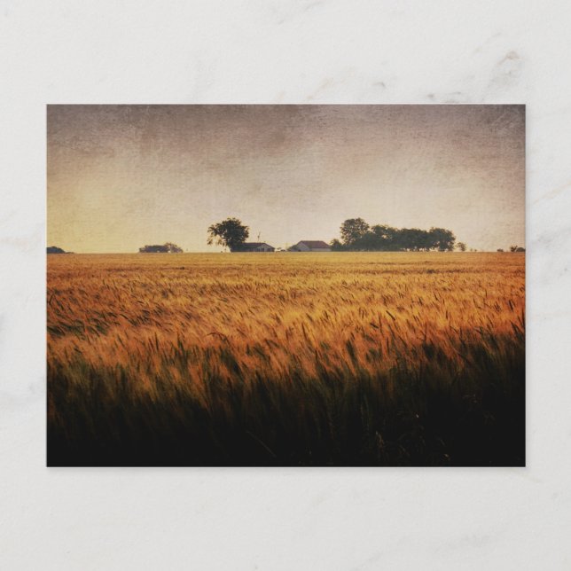 Texas Farm postcard (Front)