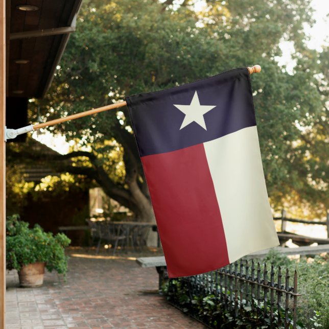 TEXAS Flag - (In SItu)