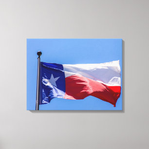 Texas Flag Canvas Print