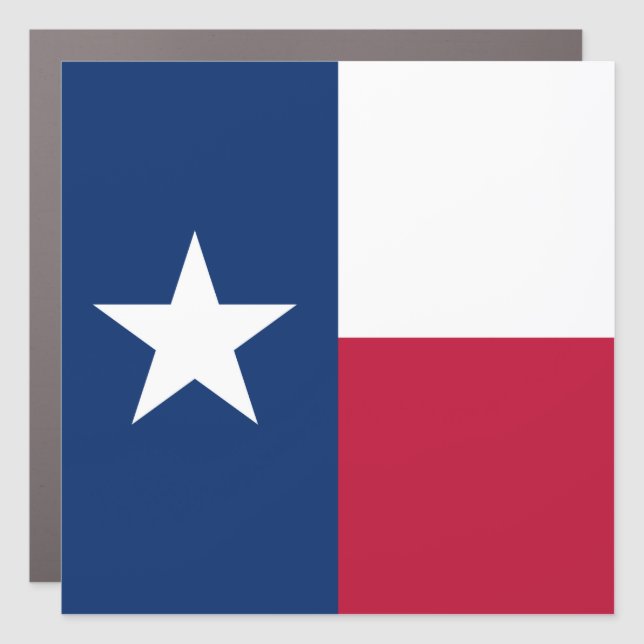 Texas Flag: Longhorns, The Texan Lone Star State Car Magnet (Front)