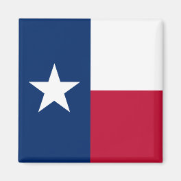 Texas Flag: Longhorns, The Texan Lone Star State Magnet