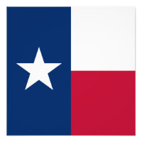 Texas Flag: Longhorns, The Texan Lone Star State