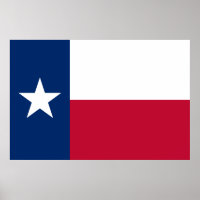 Texas Flag: Longhorns, The Texan Lone Star State