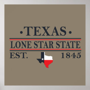 Texas flag map the lone star state poster