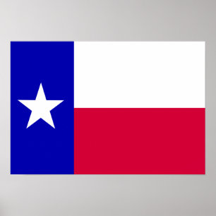 Texas Flag Poster