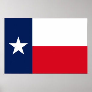 TEXAS Flag - Poster