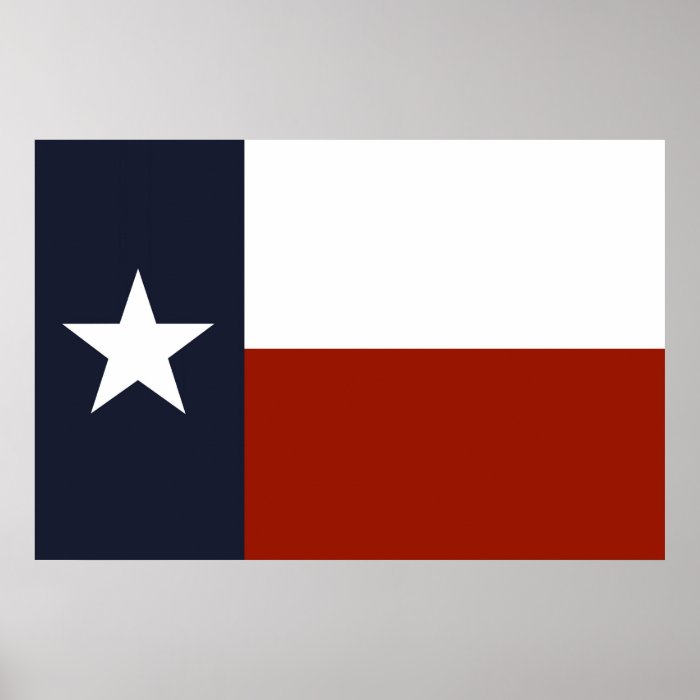 Texas Flag Print