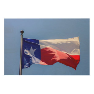 Texas Flag Wood Wall Art
