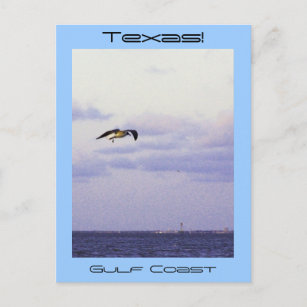 Texas Gulf Coast Postcard