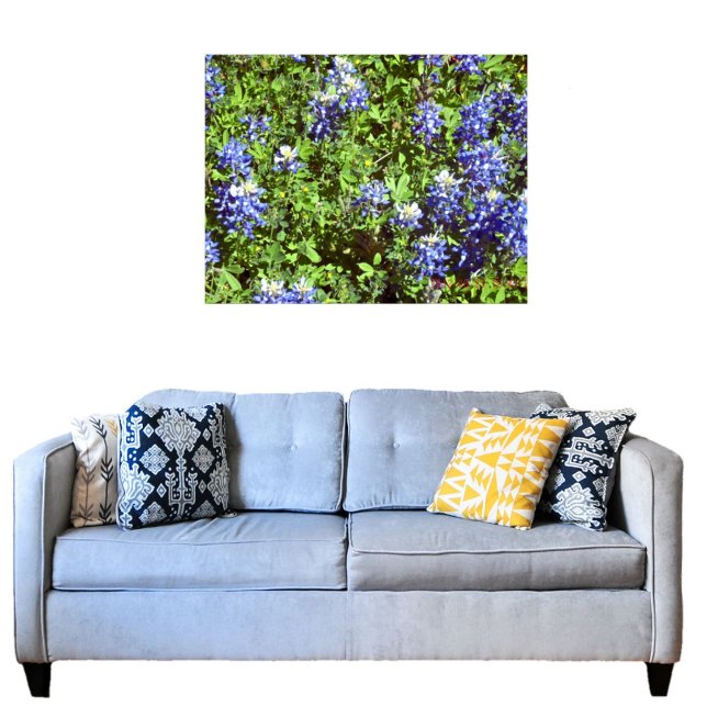 Texas Hill Country Bluebonnets Acrylic Wall Art (Creator Uploaded)