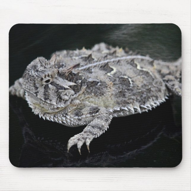 Texas Horned Lizard - Texas State Reptile Mouse Pad (Front)