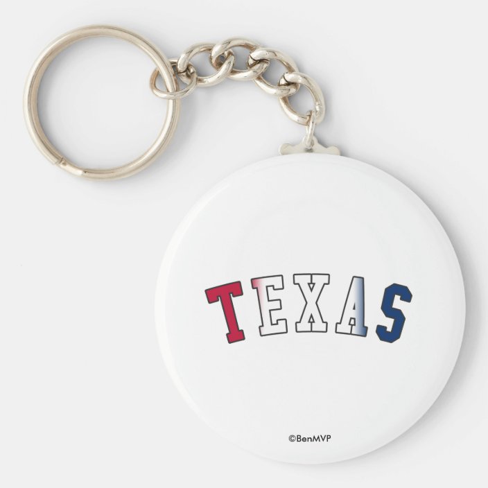 Texas in State Flag Colors Keychain