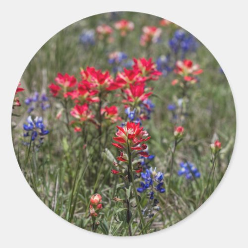 Texas Indian Paintbrush and Bluebonnet Wildflowers Classic Round Sticker