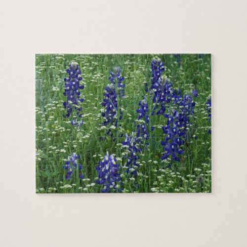 Texas Lake Buchanan Texas Bluebonnet and Wild Jigsaw Puzzle